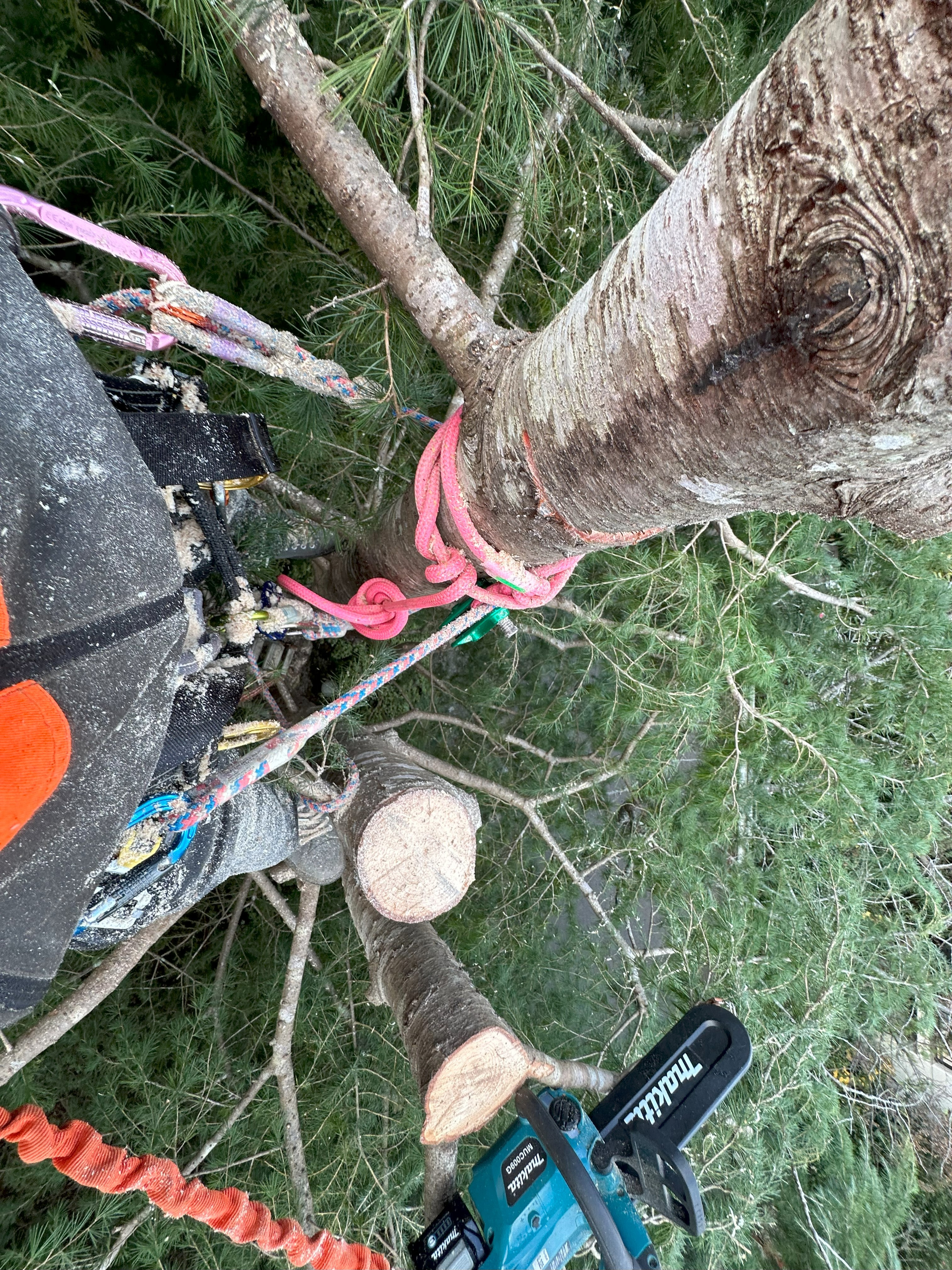 climbing2