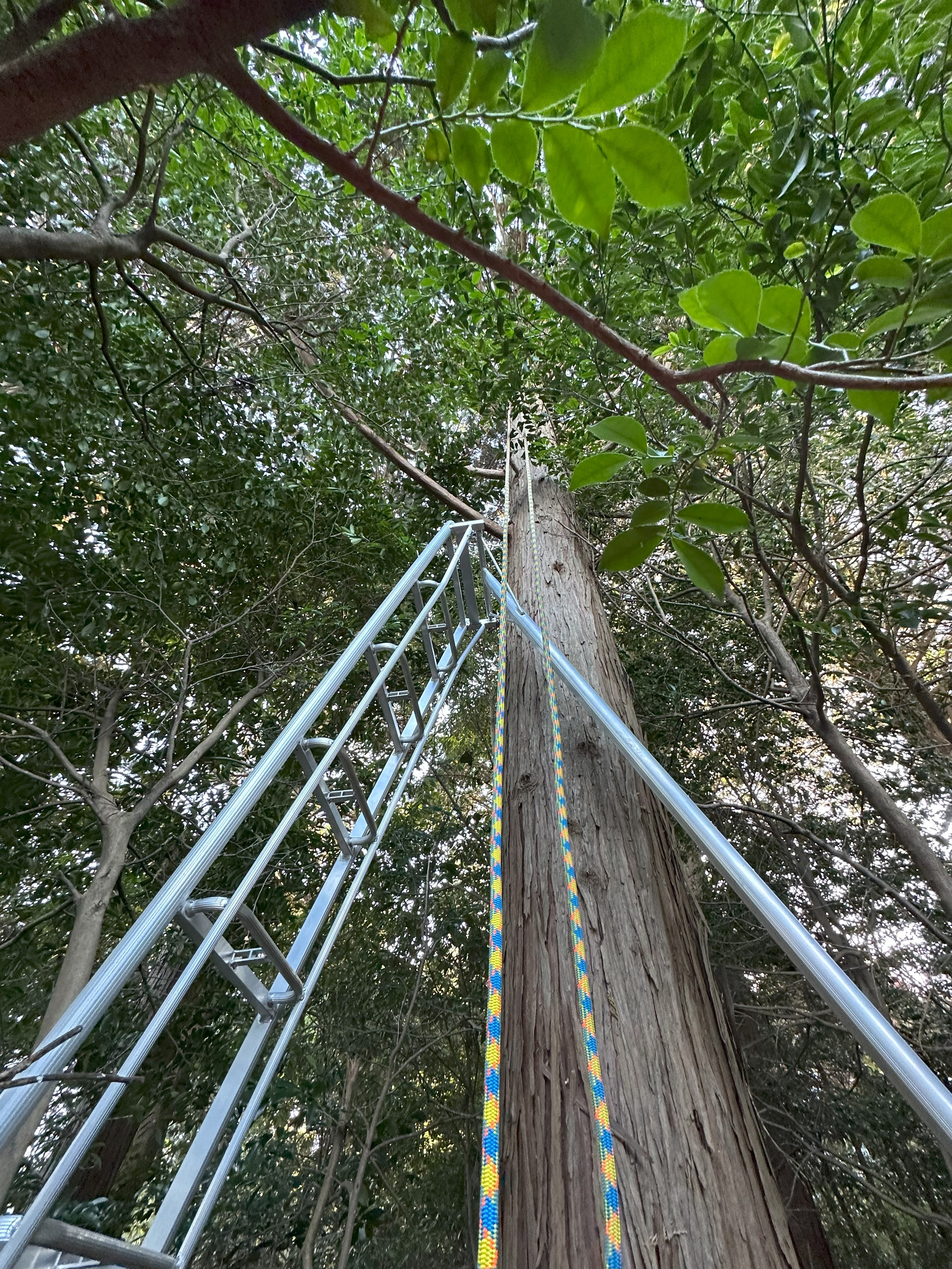 climbing3