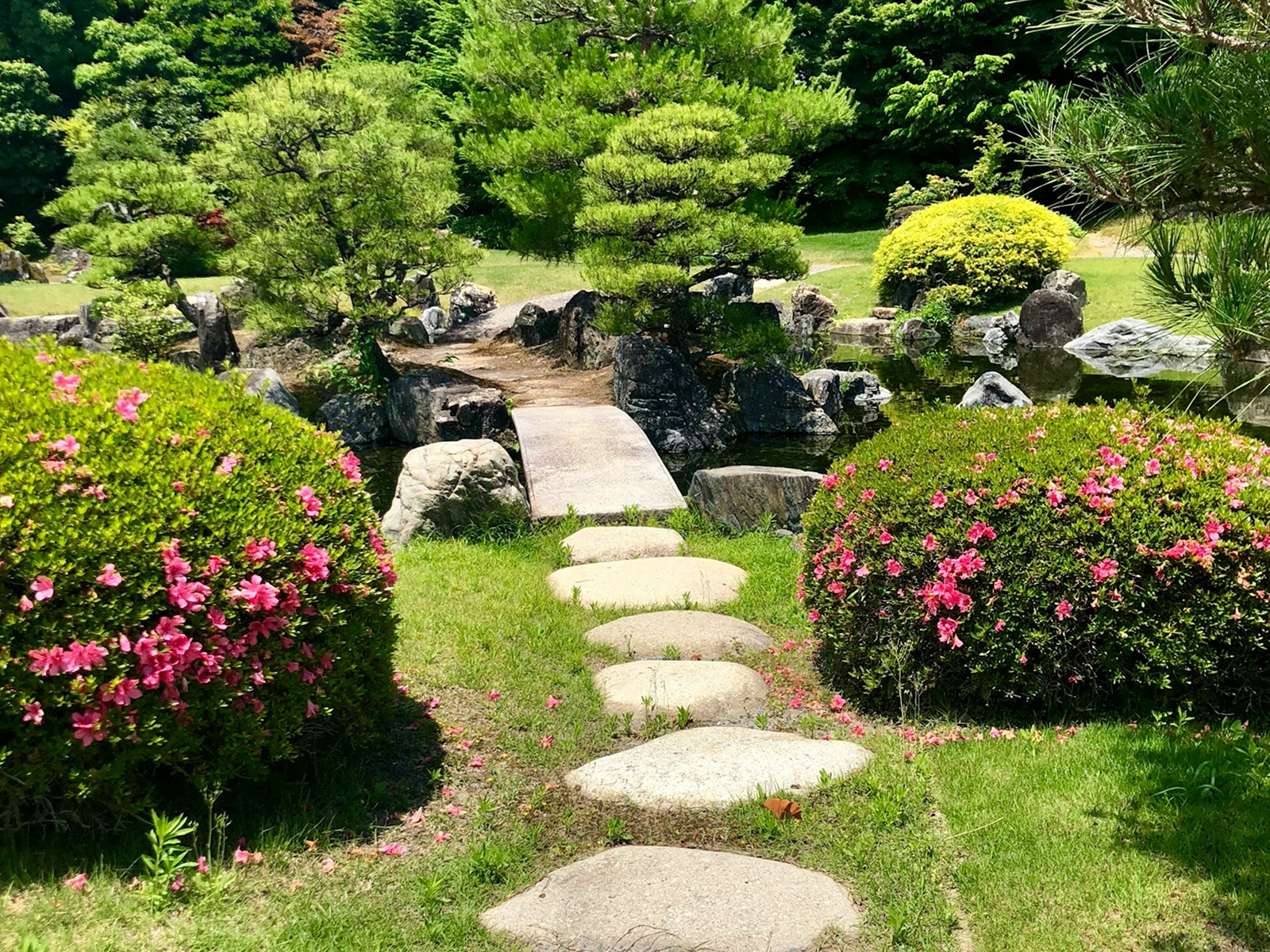landscapingPageFv