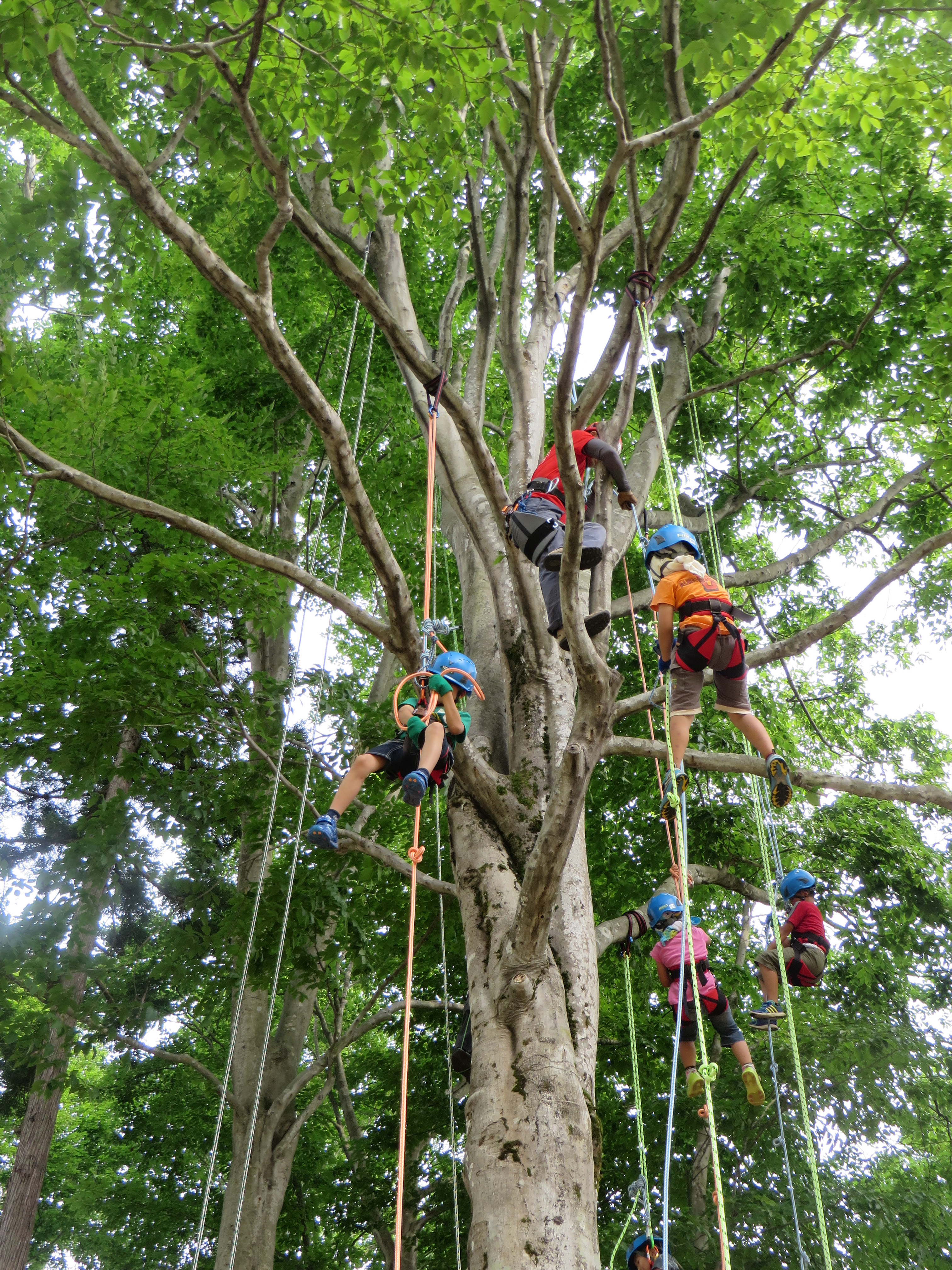 climbing1